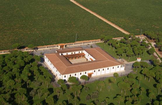 Het wijngoed omring door wijngaarden