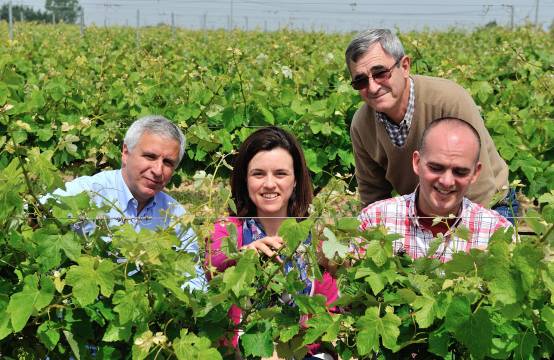 De eigenaren in de wijngaard